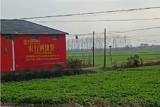 井研如何防止墙体广告褪色呢？